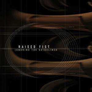 CD Raised Fist: Ignoring The Guidelines