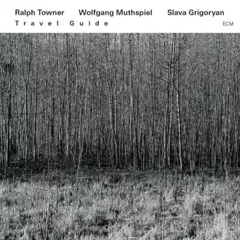 Wolfgang Muthspiel: Travel Guide