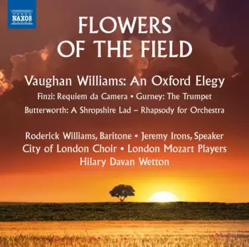 Flowers Of The Field