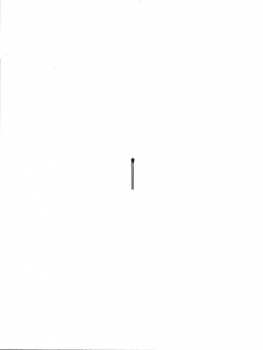 CD Rammstein: Rammstein