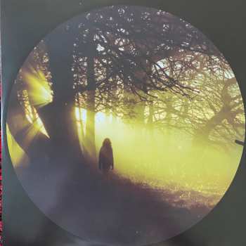 2LP Raphael Gimenes: Dinamarca