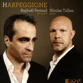 Raphaël Perraud: Harpeggione