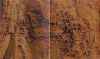 CD Rapoon: Stray LTD