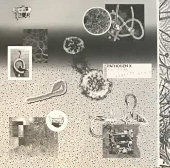 LP Rashomon: 病原菌X = Pathogen X