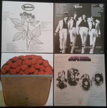 4CD/Doos Raspberries: Classic Album Set