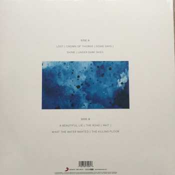 LP/CD Ray Alder: What The Water Wants