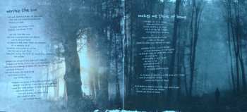 CD Ray Wilson: Makes Me Think Of Home