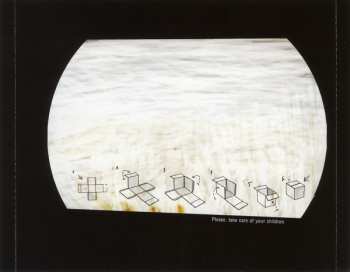 CD Raydibaum: The Biggest Box