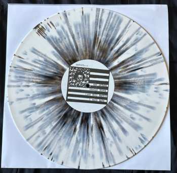 LP Reagan Youth: Youth Anthems For The New Order