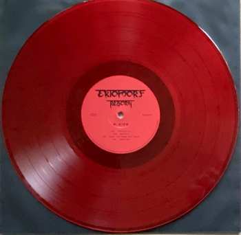 LP Ektomorf: Reborn LTD