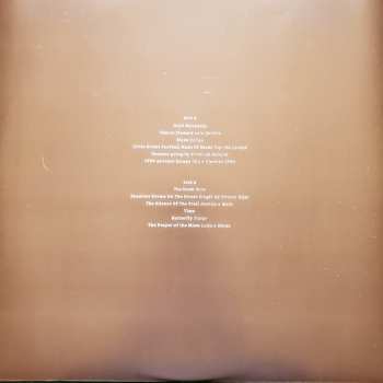 LP Redi Hasa: The Stolen Cello