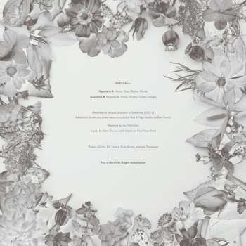 LP Reigns: Tollinghurst LTD