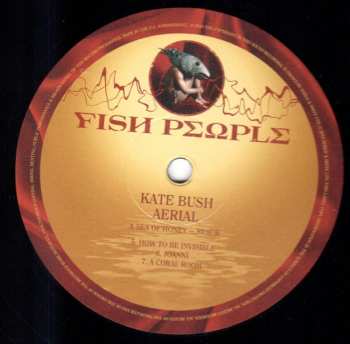 6LP/Doos Kate Bush: Remastered In Vinyl III