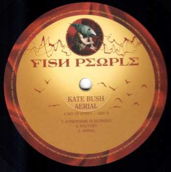 6LP/Doos Kate Bush: Remastered In Vinyl III