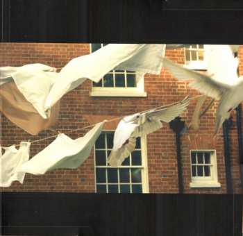 6LP/Doos Kate Bush: Remastered In Vinyl III