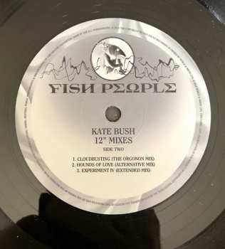 4LP/Doos Kate Bush: Remastered In Vinyl IV