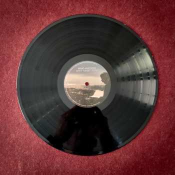 LP Remo Anzovino: Don't Forget To Fly