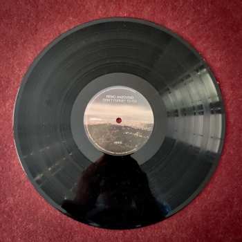 LP Remo Anzovino: Don't Forget To Fly