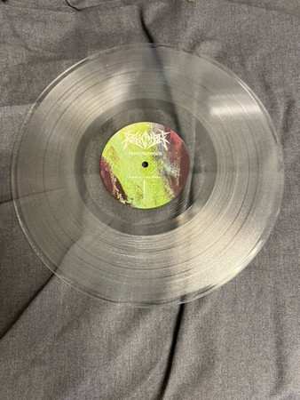 LP Revocation: Teratogenesis