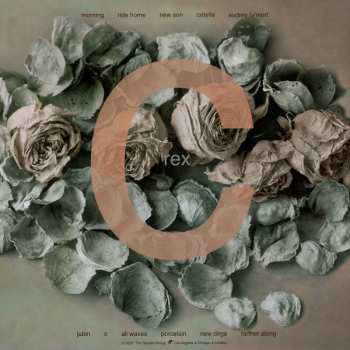 2LP Rex: C LTD