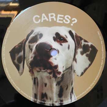 LP Rex Orange County: Who Cares?