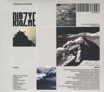 Ribozyme: Presenting The Problem