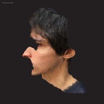 LP Ricardo Dias Gomes: Aa LTD