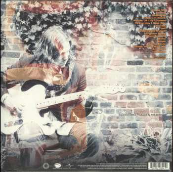 2LP Rich Robinson: Paper LTD | CLR