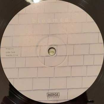 LP/CD Richard Buckner: Bloomed