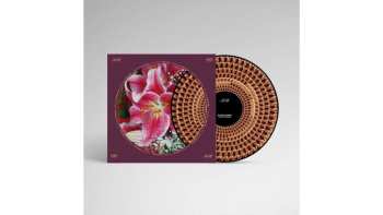 LP Richard Hawley: Coles Corner (20th Anniversary) (limited Edition) (zoetrope Picture Disc)