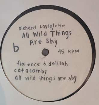 2LP Richard Laviolette: All Wild Things Are Shy LTD
