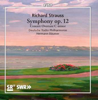 Album Richard Strauss: Symphony Op. 12 ∙ Concert Overture C Minor
