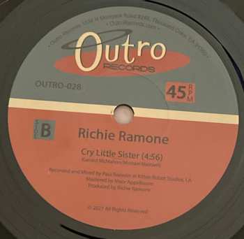SP Richie Ramone: Not Afraid