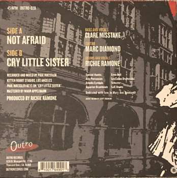 SP Richie Ramone: Not Afraid