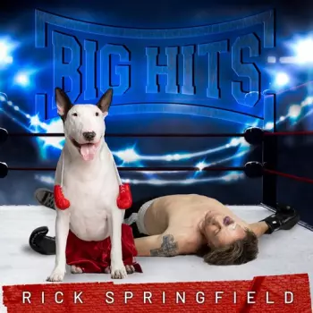Rick Springfield: Big Hits: Rick Springfield's Greatest Hits Vol. 2
