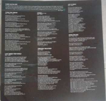 2LP Riot: Through The Storm