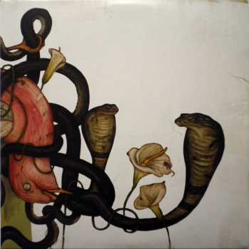 Album Rival Sons: Head Down