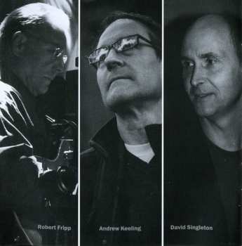 CD Robert Fripp: The Wine Of Silence