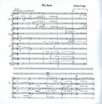 CD Robert Fripp: The Wine Of Silence