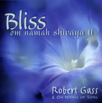 Robert Gass: Bliss Om Namah Shivaya II