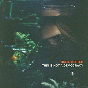 CD Robin Kester: This Is Not A Democracy