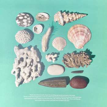 LP Robin Saville: Lore