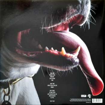 2LP Roger Waters: The Dark Side Of The Moon Redux CLR | LTD