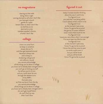 CD Rogue Wave: Nightingale Floors