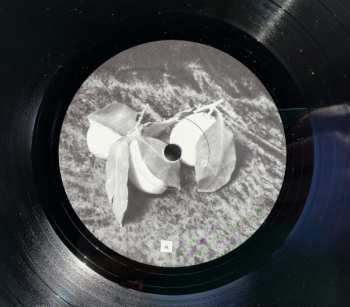 LP Romeo Poirier: Living Room