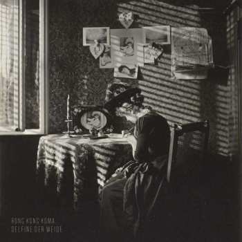 Album Rong Kong Koma: Delfine der Weide