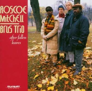 Album Roscoe Mitchell: After Fallen Leaves