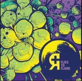 Album Rosetta: Flies To Flame