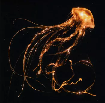 Royal Blood: Back To The Water Below