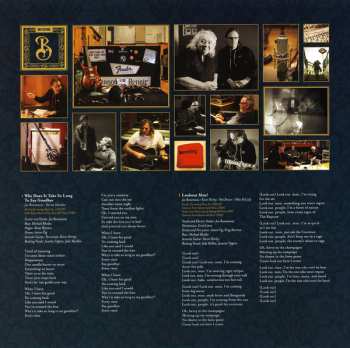 2LP Joe Bonamassa: Royal Tea LTD | CLR